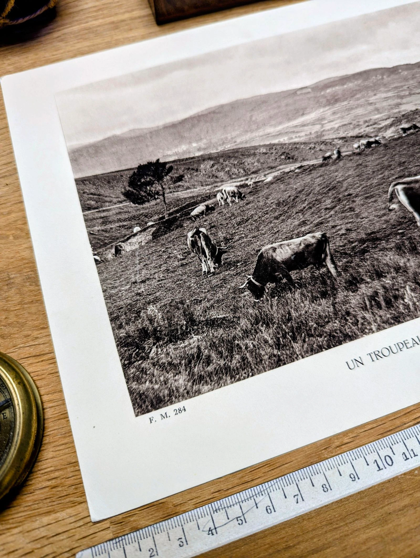 Colina de la Perche, Pirineus-Orientais, placa fotográfica impressa em 1937. – photo 5